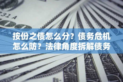 武汉按份之债怎么分？债务危机怎么防？法律角度拆解债务分配与风险自保指南