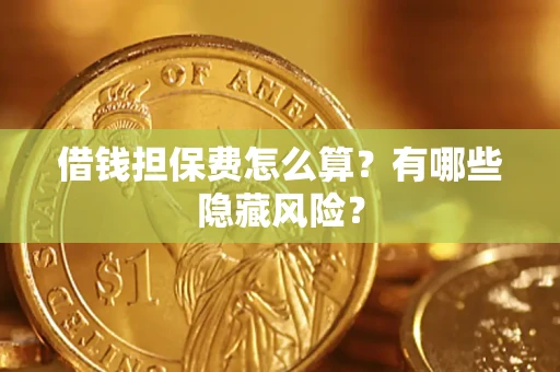 武汉借钱担保费怎么算？有哪些隐藏风险？