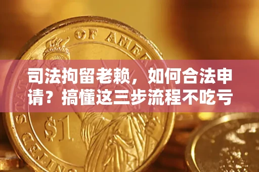 武汉司法拘留老赖，如何合法申请？搞懂这三步流程不吃亏！