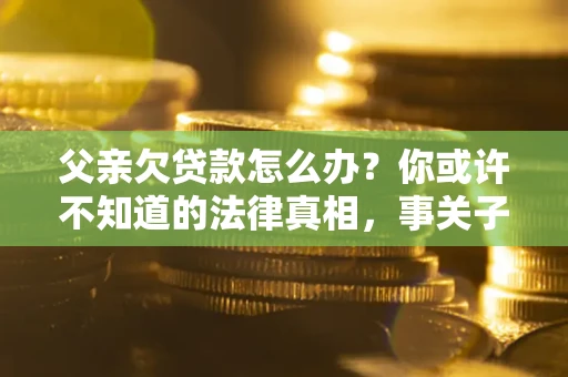 武汉父亲欠贷款怎么办？你或许不知道的法律真相，事关子女未来