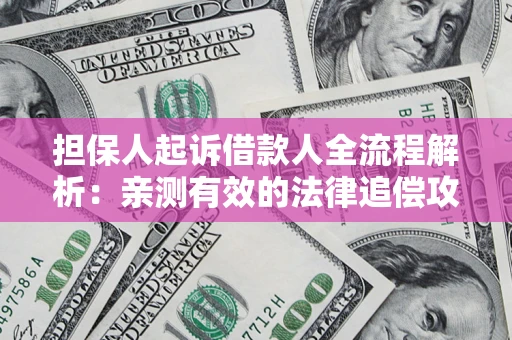 武汉担保人起诉借款人全流程解析：亲测有效的法律追偿攻略