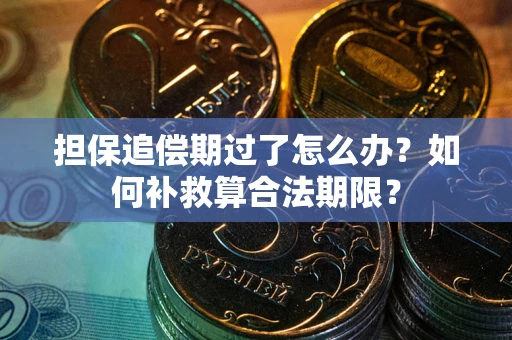 武汉担保追偿期过了怎么办？如何补救算合法期限？