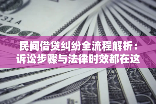 武汉民间借贷纠纷全流程解析：诉讼步骤与法律时效都在这儿了