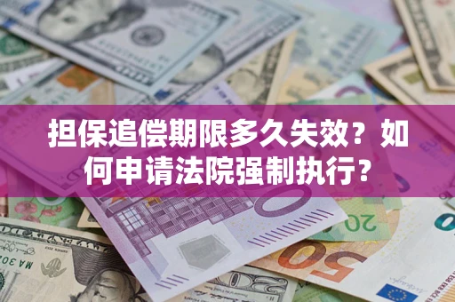 武汉担保追偿期限多久失效？如何申请法院强制执行？