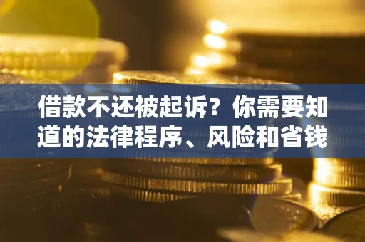 武汉借款不还被起诉？你需要知道的法律程序、风险和省钱技巧