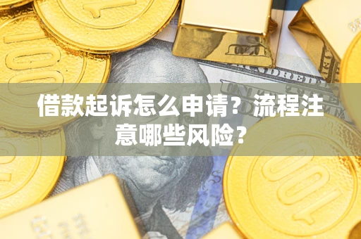 武汉借款起诉怎么申请？流程注意哪些风险？